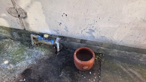 Sambódromo_20250828_112227 (15)