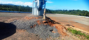 WhatsApp Image 2025-12-03 at 09.54.40(2)